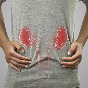 Nephrologist in Vijayawada