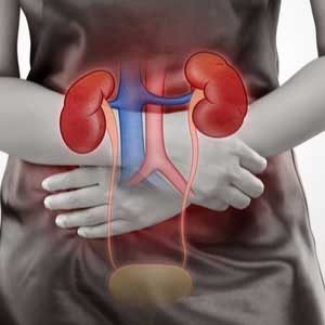 Urinary Infections in vijayawada
